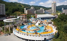 Phoenix Hotel Pyeongchang